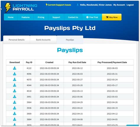 sm payslip portal|Demystifying payslips for employees .